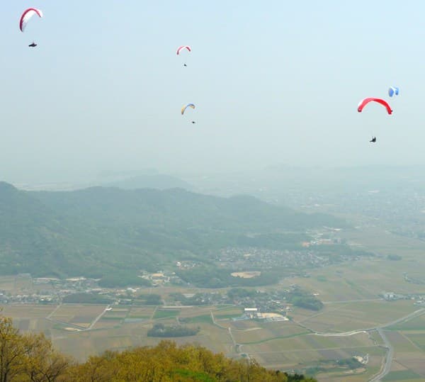 s-P1030464.jpg
