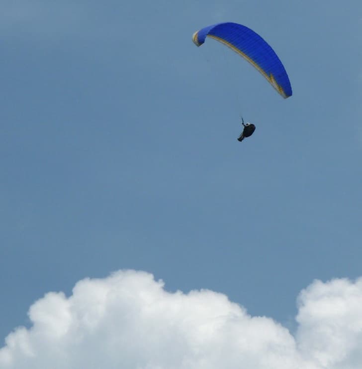 s-P1030696.jpg