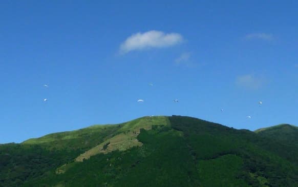 s-P1030849.jpg