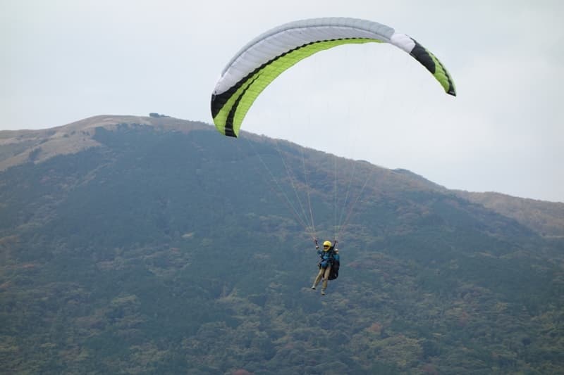 DSC00785.jpg