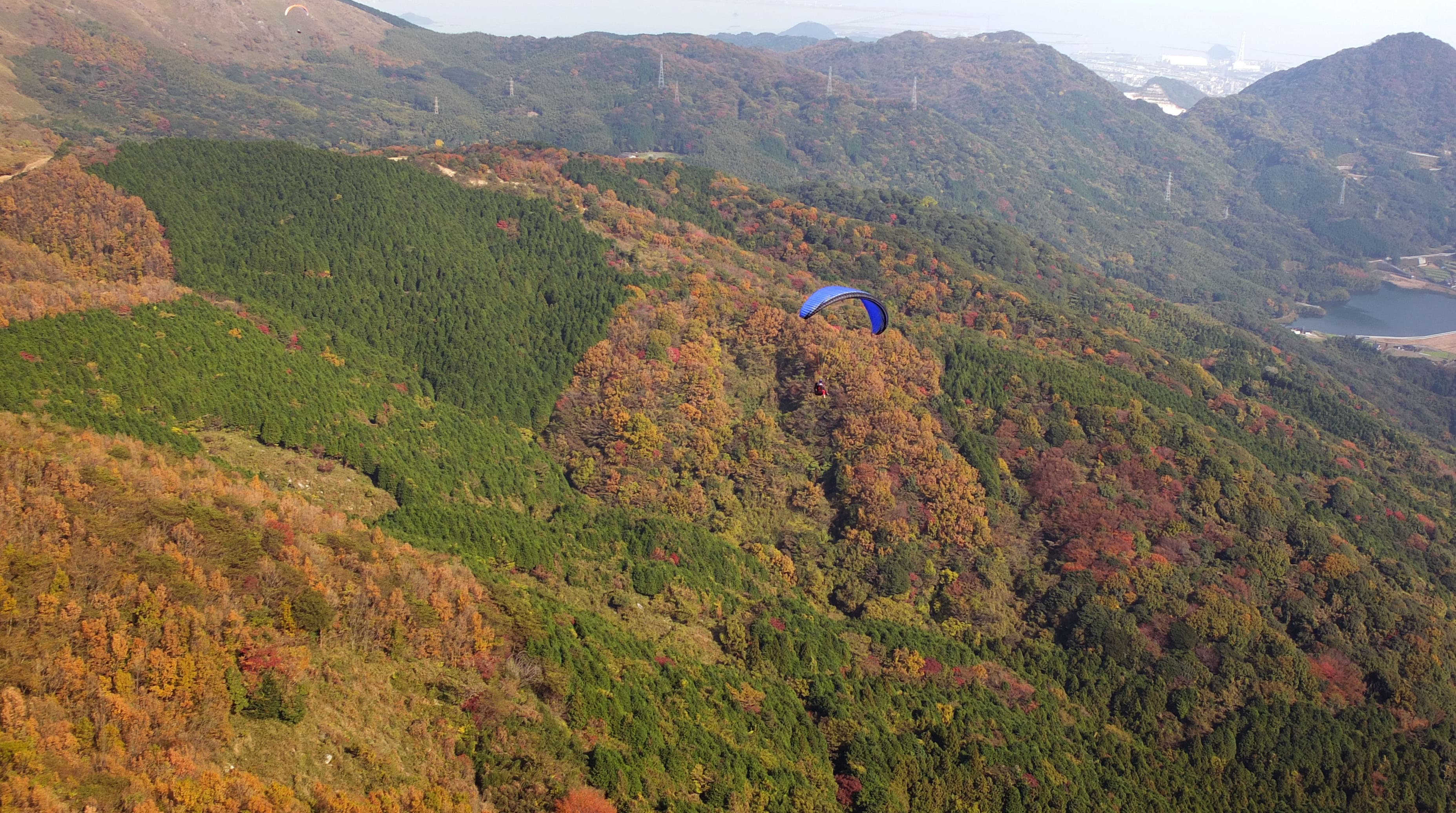S0114410.jpg
