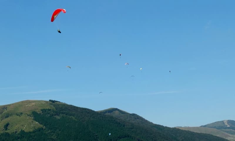s-DSCF4311.jpg