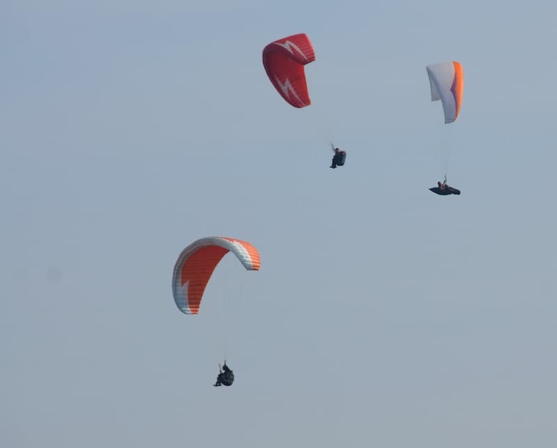 s-DSC_4981.jpg