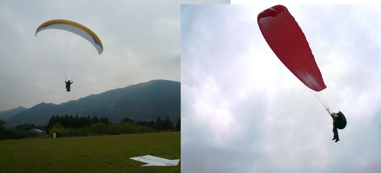 P1150084.jpg