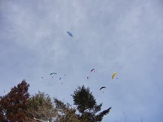 s-CIMG1187.jpg