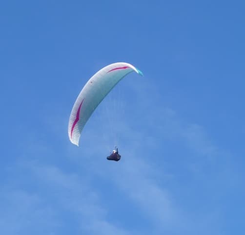 P1050446.jpg