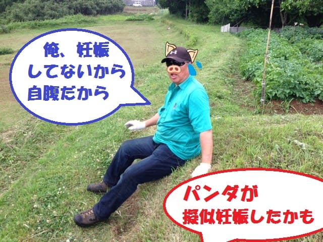 みきてぃ