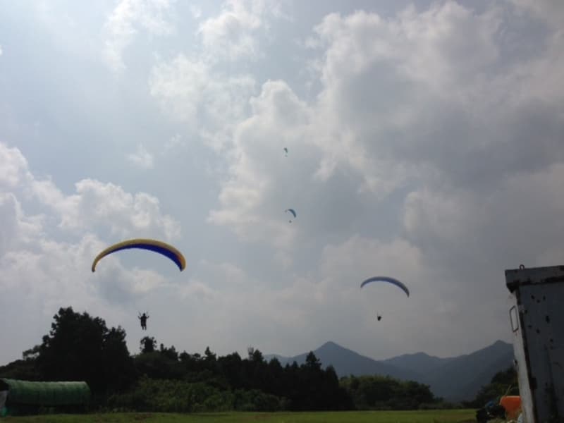 写真1