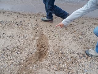 3_20140607222847560.jpg