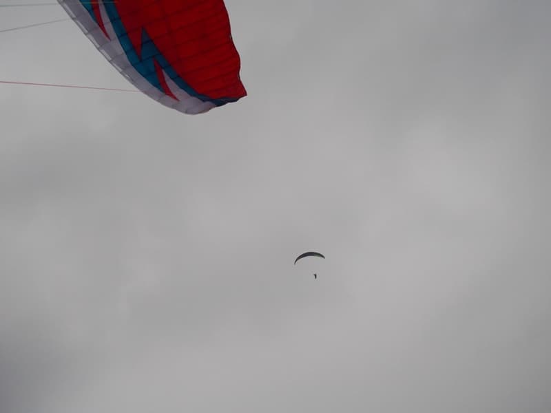 DSCN1110.jpg