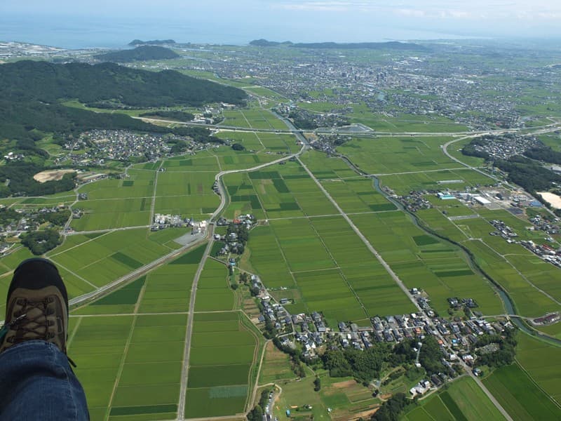 s-S0064165.jpg