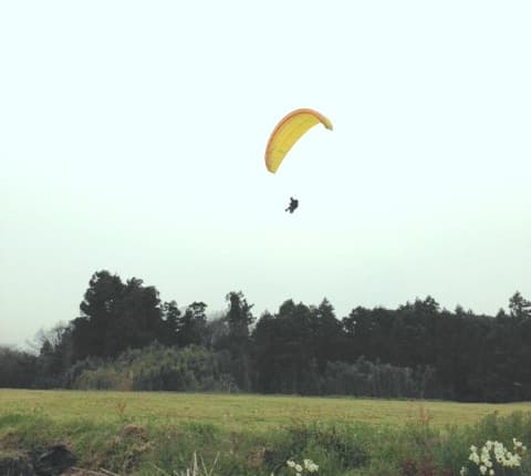 ___201404122007279f9.jpg