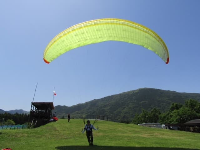 IMG_4466.jpg