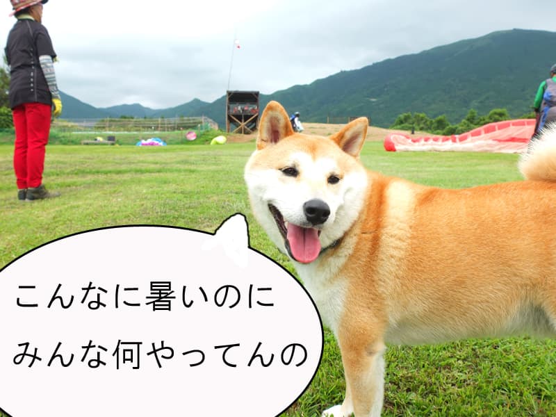 DSCF4814.jpg