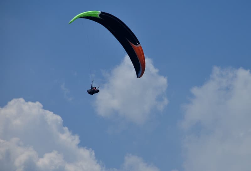 DSC_6447.jpg