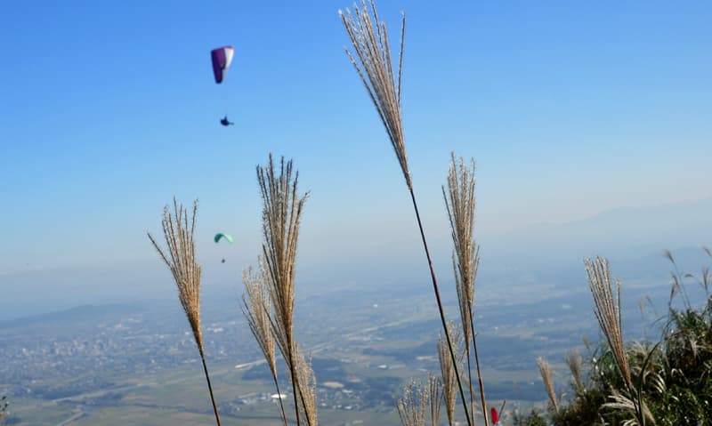 DSC_6835.jpg