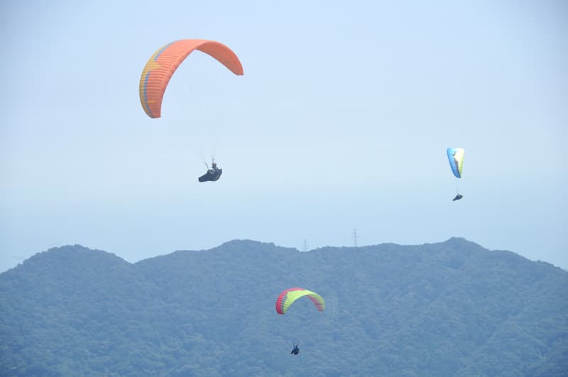 DSC_7399.jpg