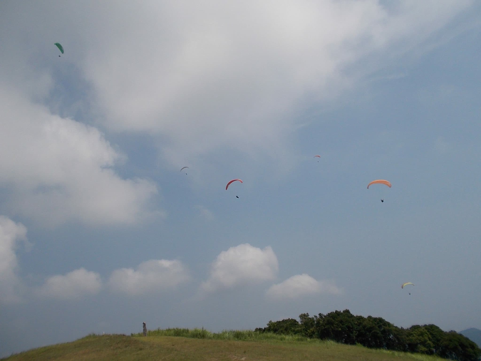 IMG_7039.jpg