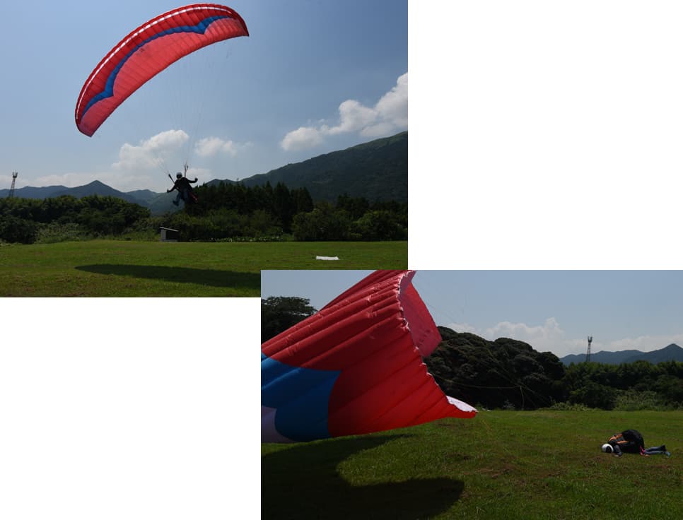 DSC_2516.jpg