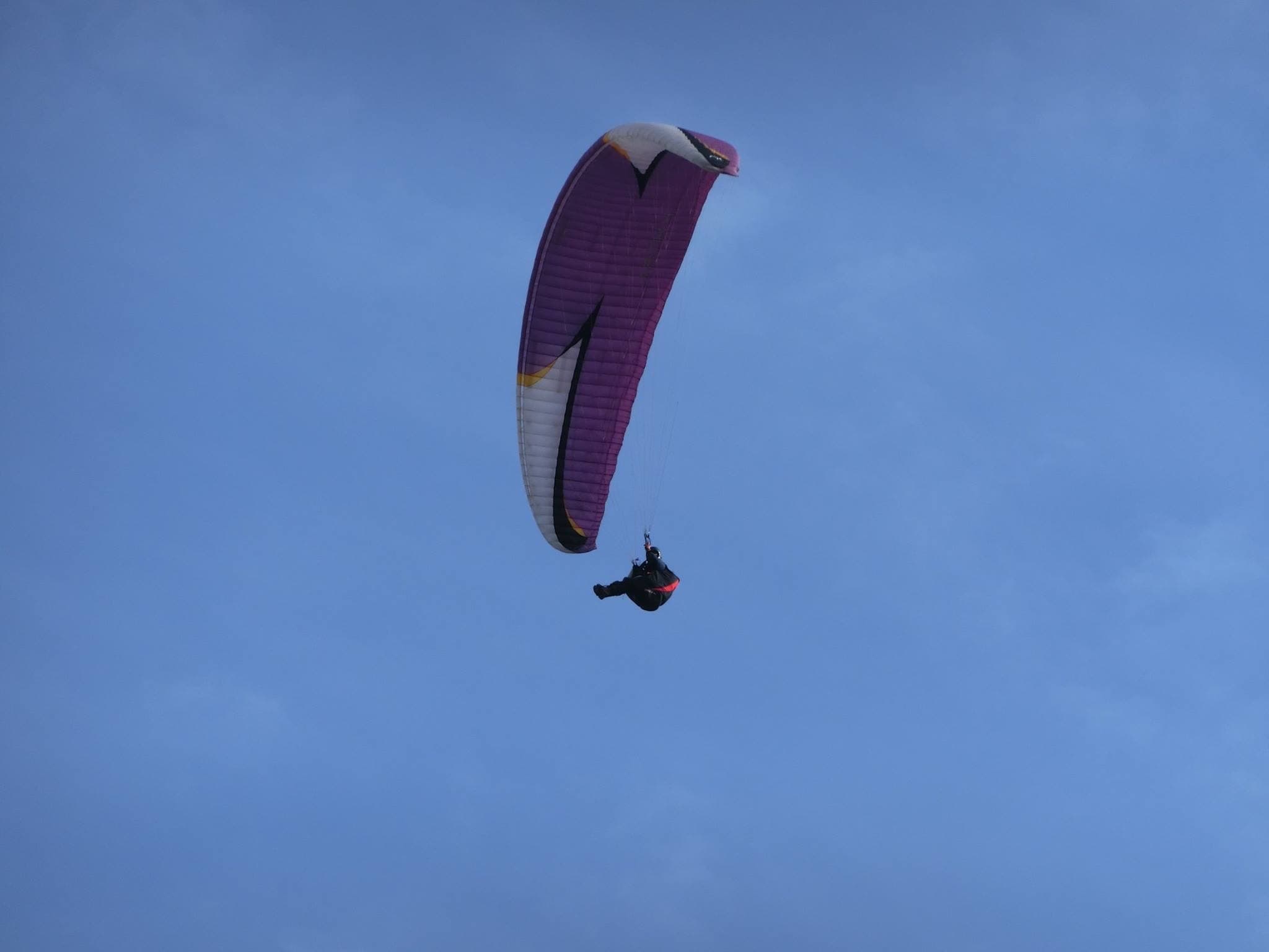 IMG_3356.jpg