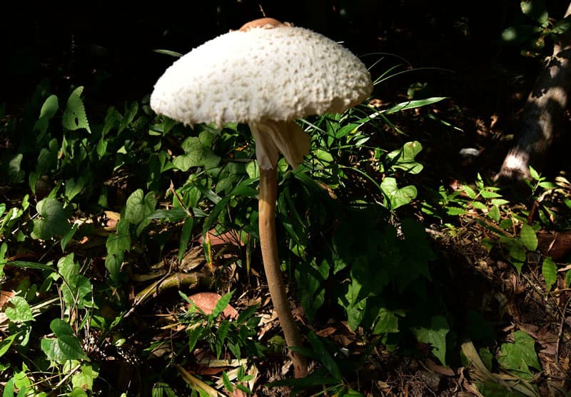 DSC_9412.jpg