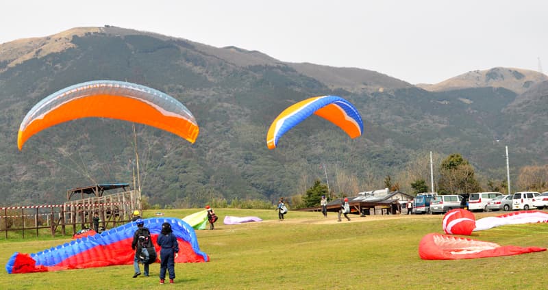DSC_5475.jpg