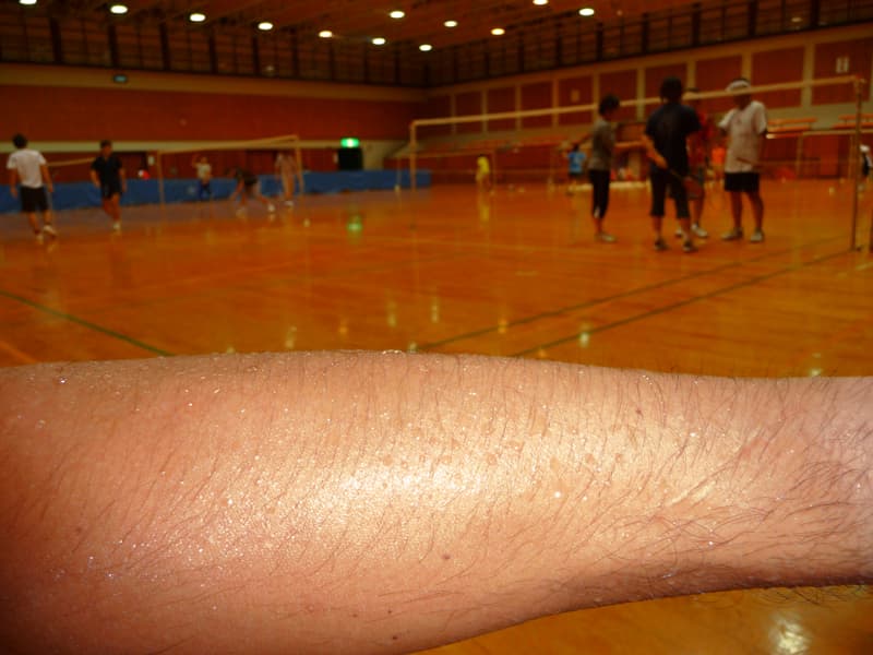P1030825.jpg