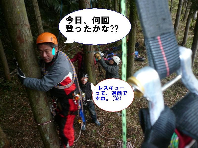 P1110747.jpg