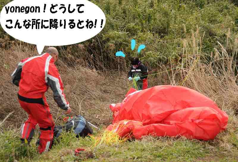 s-DSC_6387.jpg