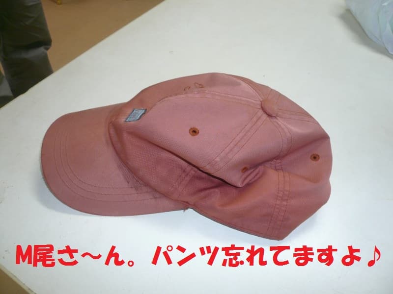 P1150186.jpg