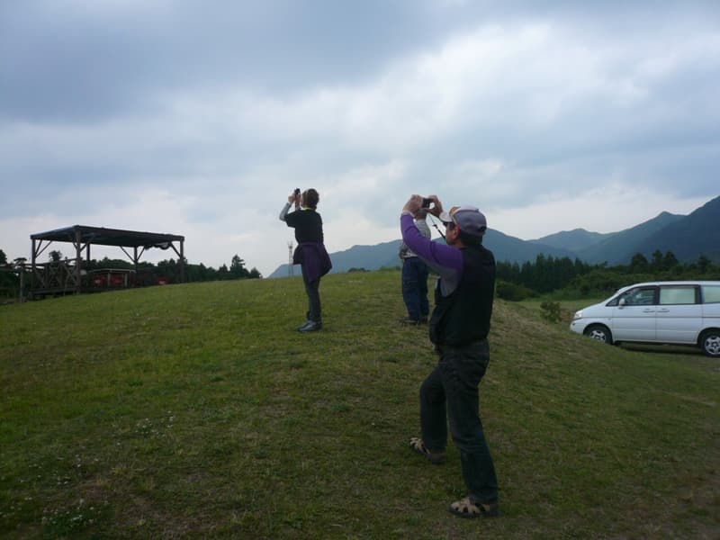 P1150394.jpg