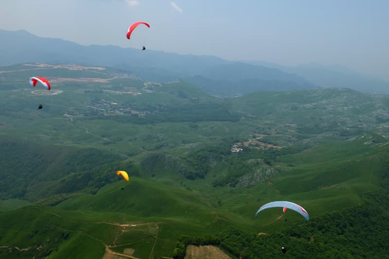 s-S0161201.jpg