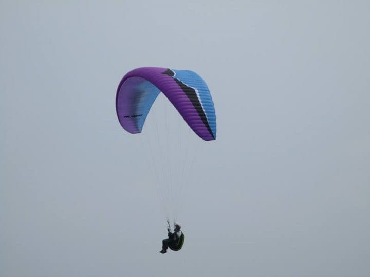 IMG_0048.jpg