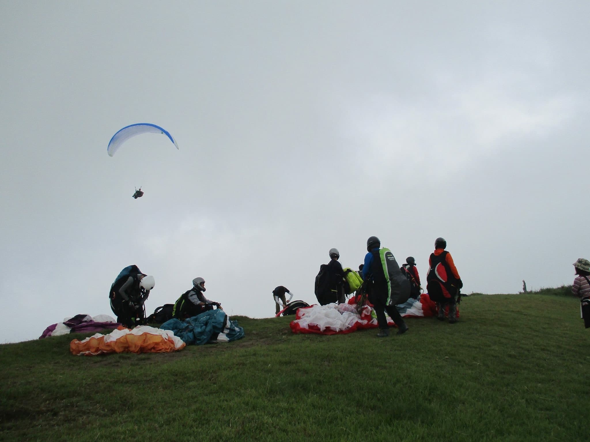 IMG_0050_201609101959183e0.jpg